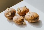 Can You Eat Sprouted Potatoes?