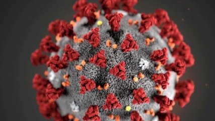 Will Delta Plus variant trigger new wave?