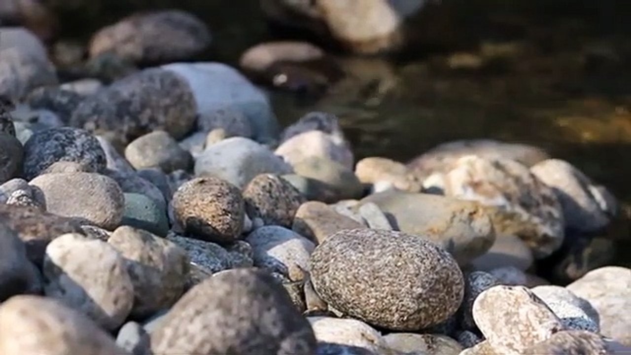 Sleeping Calm Music And Relaxing Music|New Wonder Flim..
