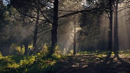 المؤسس عثمان- الحلقة 85 (3/3)