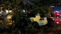 Edirne'de fırtına nedeniyle ağaçlar arabaların üstüne devrildi, çok sayıda araç hasar gördü