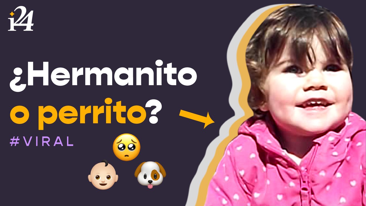 ¿Quieres un hermanito o un perro?