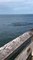 Naples Pier Manatees Swim Directly to Beachgoers