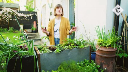 How to plant your small spaces - Telegraph gardening tips