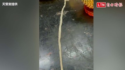 「帝爺公蛇」臨別贈禮？廟內驚見180公分「龍衣」珍品