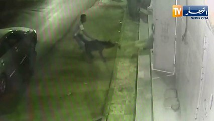 المنيعة: وكيل الجمهورية يفتح تحقيقا في قضية الشخص الذي إعتدى بكلب على عمال مخبزة