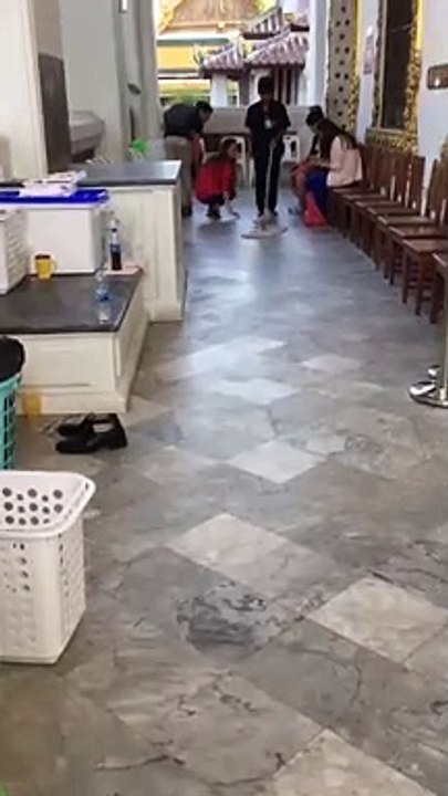 Lazy Puppy Dragged Through Temple_
