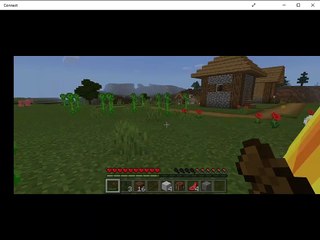 minecraft survilval which version is this  tell me