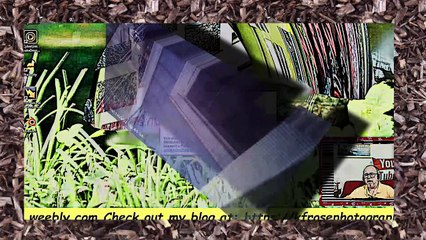B Roll video with abstract audio l Special effects l Powerdirector 18
