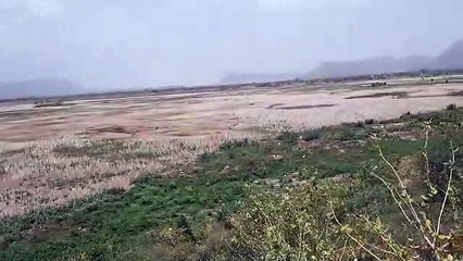 राजस्थान में सूखे बांधों का ठेका, बारिश पर टिकी आस