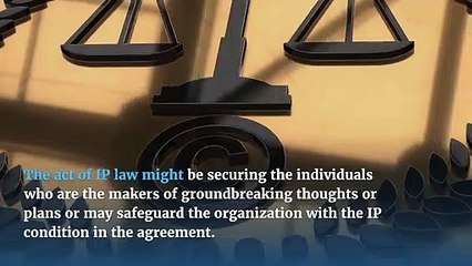 Jaeson Birnbaum | Intellectual Property Rights