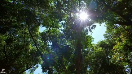 Amor Eterno Amor – Capitulo 3