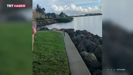 ABD'de iki ayrı uçak kazası yaşandı, pilotların burnu bile kanamadı