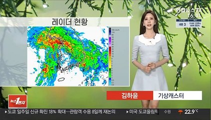 [날씨] '지각 장마' 초반부터 폭우…서울 호우주의보