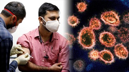 Corona Vaccine की 1 Dose पर चौंकाने वाला खुलासा, Study में किया बड़ा दावा | Boldsky