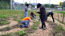 Sujet: un reportage des élèves du cycle du Marais