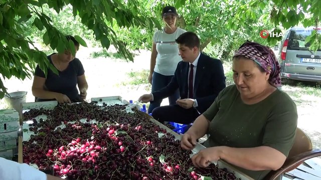 Coğrafi işaret tescilli Uluborlu kirazı Avrupa sofralarında