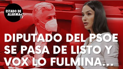 Un diputado del PSOE se pasa de listo y Mireia Borras, de Vox, lo fulmina: “¿Le digo lo que me avergüenza?”