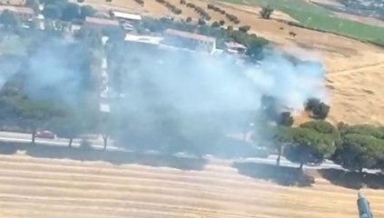 Capalbio (GR) - Incendio di vegetazione (03.07.21)