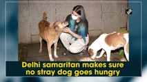 Delhi samaritan makes sure no stray dog goes hungry