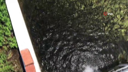 Kazdağları’nın soğuk sularında alabalık yetiştiriyorlar