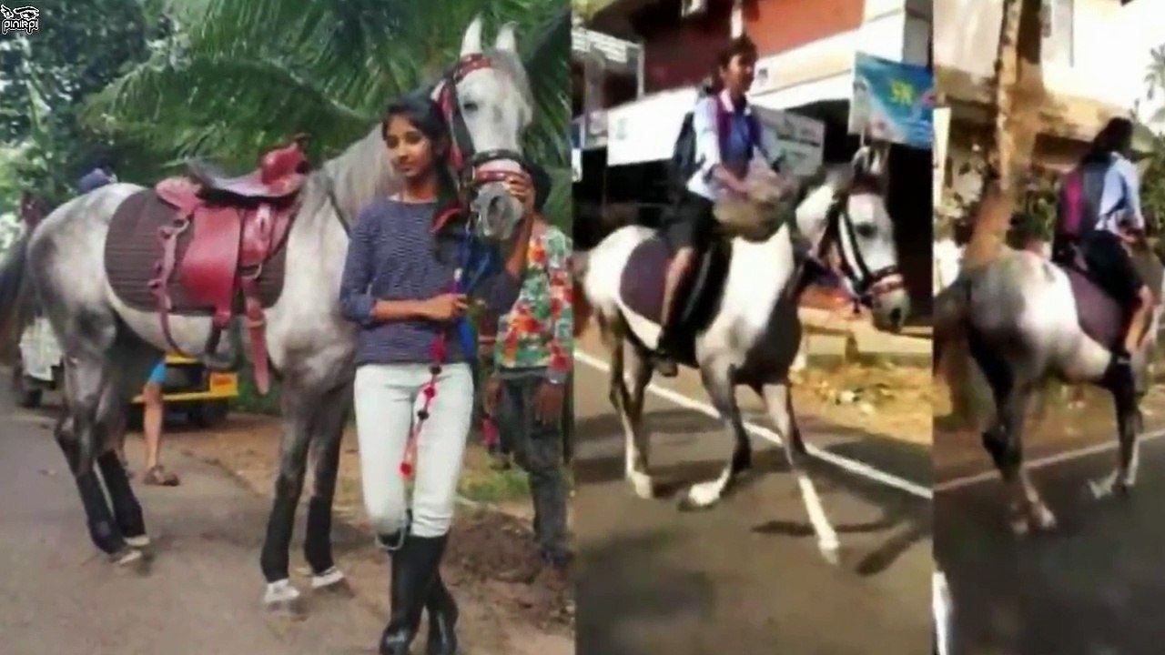ঘটনাই এমন যে আপনিও চমকে যাবেন! Things You’ll See for the 1st Time