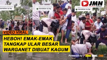 REPORTASE - HEBOH! EMAK-EMAK TANGKAP ULAR BESAR, WARGANET DIBUAT KAGUM