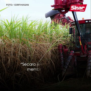 Dunia alami kenaikan tinggi harga makanan