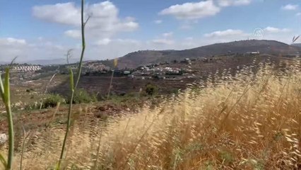 Batı Şeria'da işgalin yeni yüzü "Yahudi yerleşimci çobanlar"