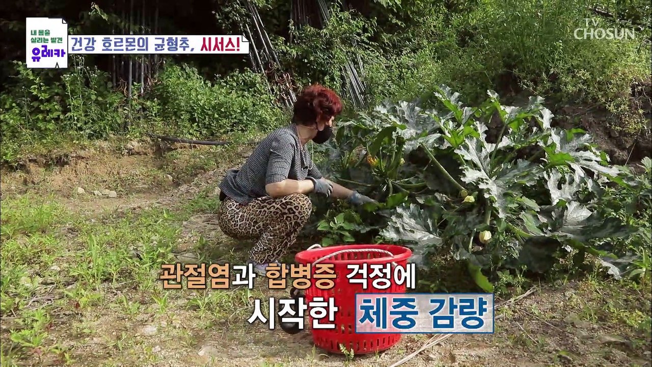 관절염·합병증 걱정에 시작한 다이어트 후 건강 되찾은 주부 TV CHOSUN 2021...
