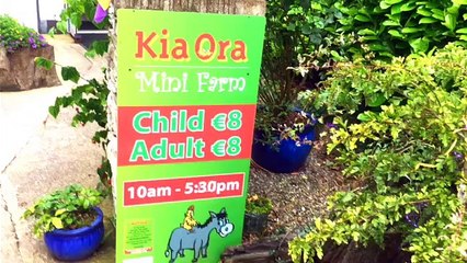 Kia Ora Farm in Gorey, Wexford, Ireland