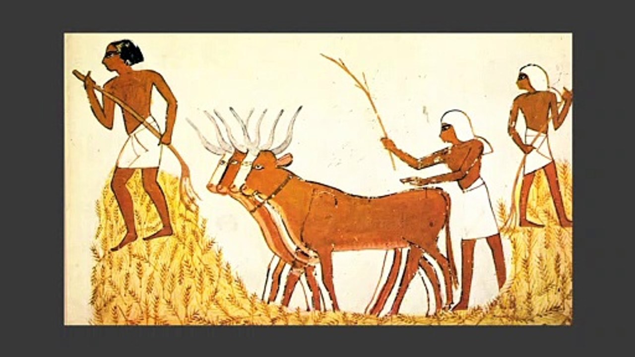 Cultural Ecology: Advanced Horticultural Societies, Part 1