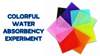 Colorful Water Absorbency Experiment | Tissue Paper | Absorbency | Science Experiment | Colorful