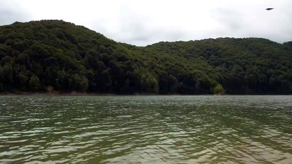 5 Minutes Relaxing River Water Music-Meditation,Calming,Stress Relief,Study,Sleeping Music 24_7 2021