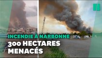 Aude: important feu de forêt dans le Massif de la Clape près de Narbonne