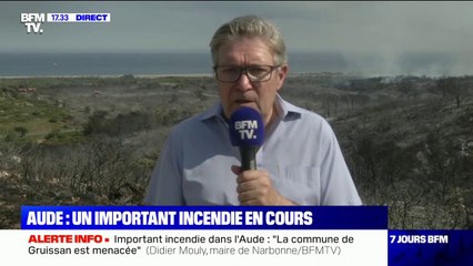 Incendie dans l'Aude: "Aucune habitation n'a été touchée, aucun véhicule n'a été détruit" pour l'instant, selon le maire de Narbonne