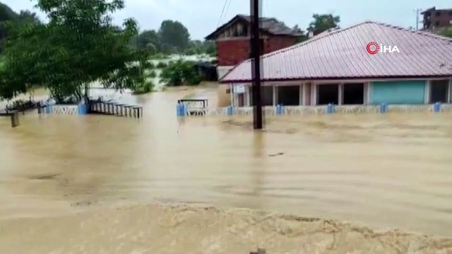 Kocaali sular altında: Araçlar ve hayvanlar sular altında kaldı