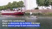 Descente de la Seine à la nage: étape à Paris pour le nageur Arthur Germain