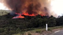 Incendie près de Narbonne : près de 300  hectares détruits, 170 personnes évacuées