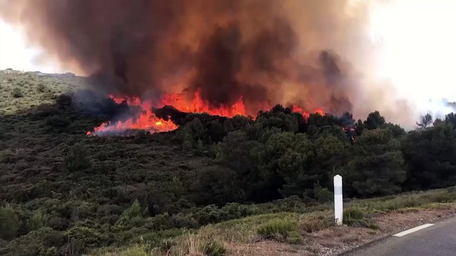 Incendie près de Narbonne : près de 300 hectares détruits, 170 personnes évacuées