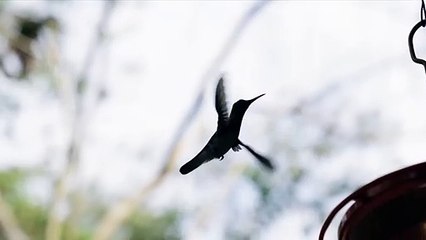 Nature always beautiful