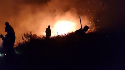 Son dakika: Hatay'daki örtü yangını kontrol altına alındı