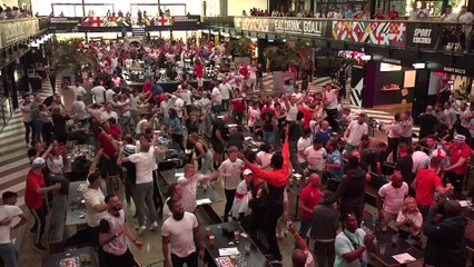 England fans celebrate Harry Kane goal England 1-0 Ukraine