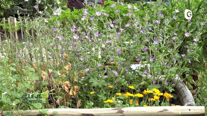 Le JT Express - JT EXPRESS  3 JUILLET 2021