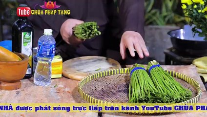 Bài Thuốc Quý Từ Măng Tây (asparagus) Đối Với Các Loại Bệnh Ung Thư - Thầy Thích Trí Huệ