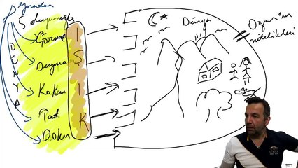 Realite bizim yarattığımız bir algıysa tüm Kabalistler nasıl aynı şeyi söylüyor?