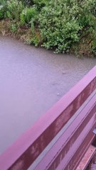 Rainy day in South Korea