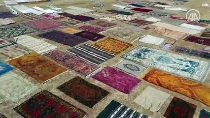 Antalya'nın 'halı tarlaları'nda renkli telaş başladı