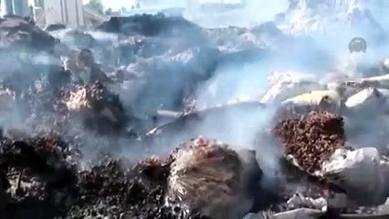 Teröristler Van'da 3 aracı yaktı