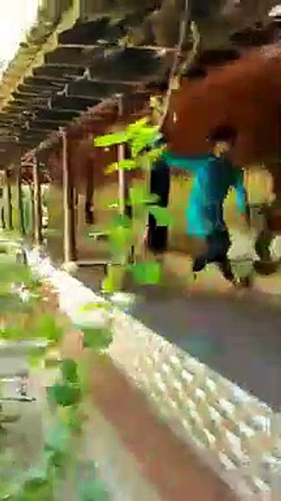 Dance